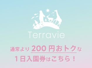 Terravie