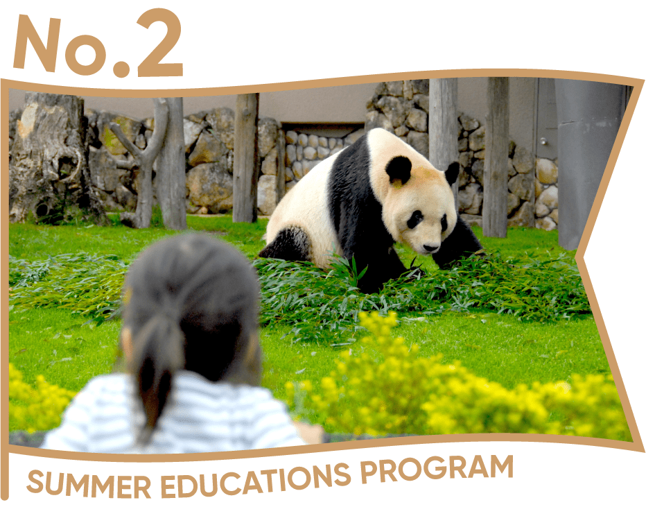 No.2 SUMMER EDUCATIONS PROGRAME